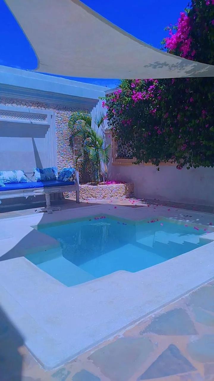 The Luxury 4*